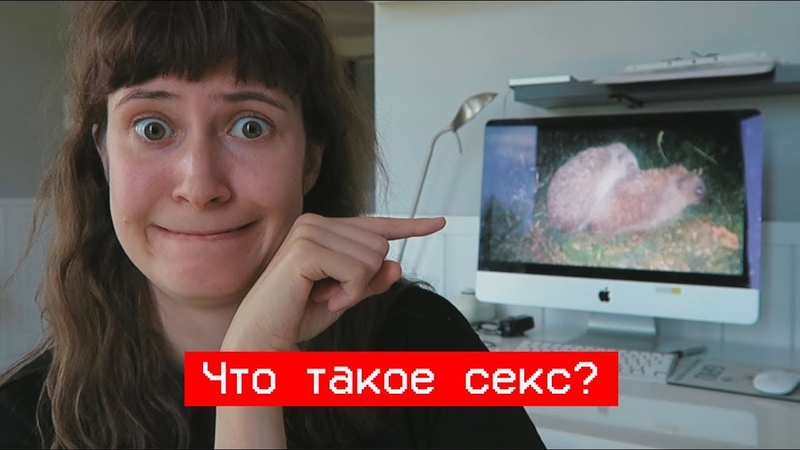 Что такое секс | nixelpixel