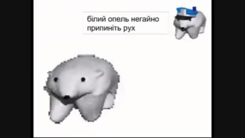 білий опель негайно припиніть рух