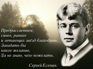 Елена Киселёва депутат ЗС СПб о Сергее Есенине