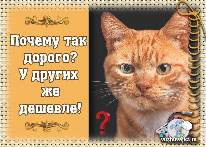 Осаго почему так дорого Осаго почему так дорого
