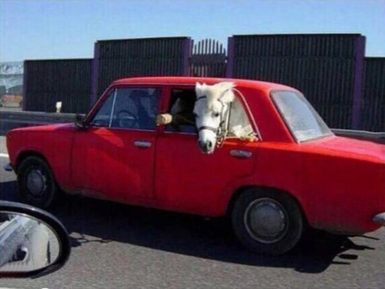 Это Россия 