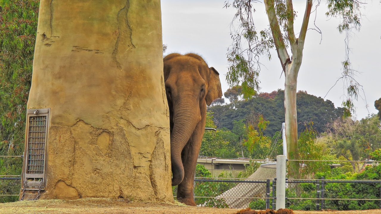 Ударим автопробегом по дикому западу! USA 2019 7-25 марта.