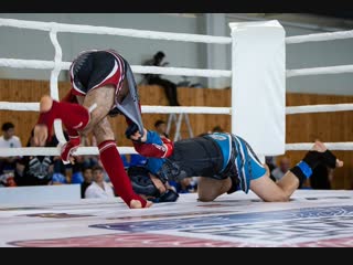 Чемпионат Псковской области по ММА 2018