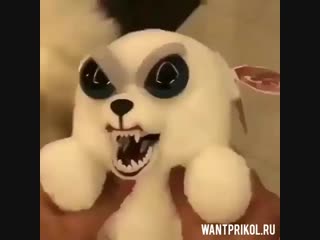 Сравниваем игрушку с живой собачкой. Видео прикол