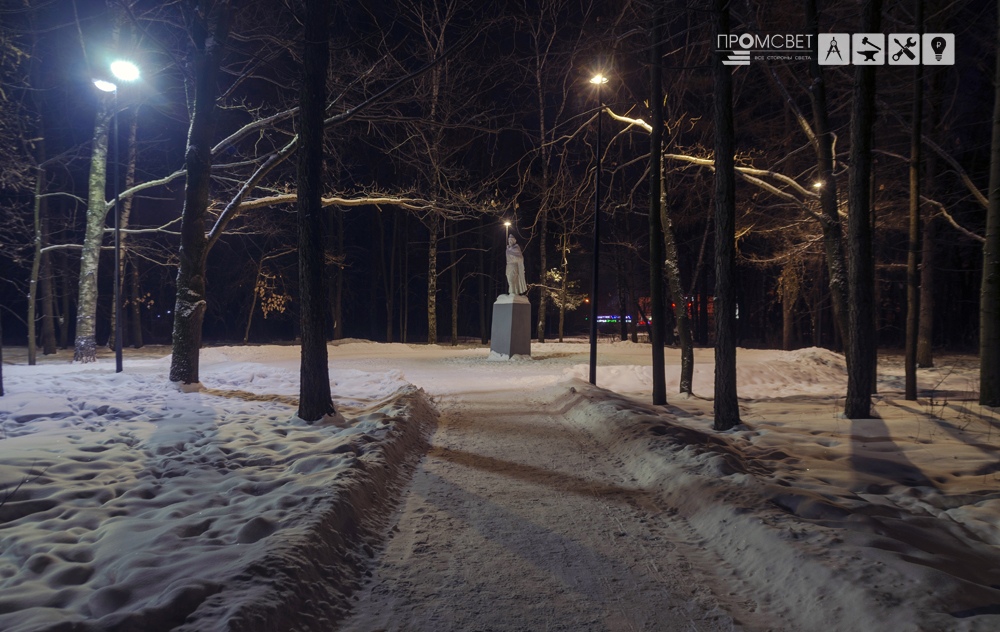 Сестрорецк дубки парк зимой