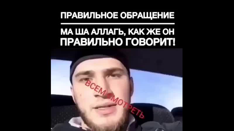 _avito_05dagBu5wWqdFQ1r.mp4