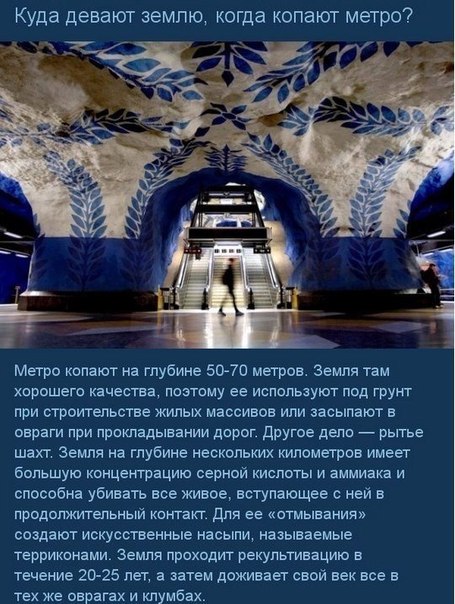 10 умных ответов на 10 глупых вопросов Часто в жизни возникают казалось бы простые, но довольно нелепые вопросы, на которые, ко всему прочему, нелегко найти