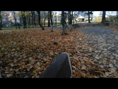 Нанесло к скамейке листьев кучу