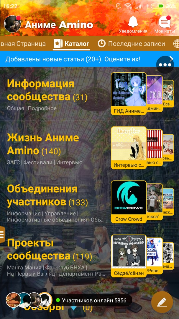 Amino