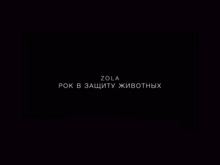ЗОЛА | НЕ ВЗРЫВАЙ | РОК В ЗАЩИТУ ЖИВОТНЫХ