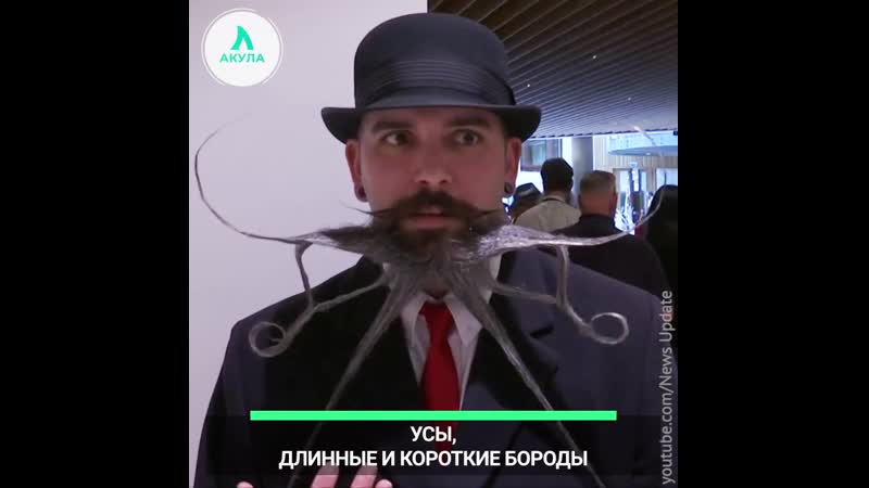 Чемпионат по усам и бородам | АКУЛА