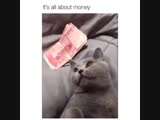 Деньги всё решают!