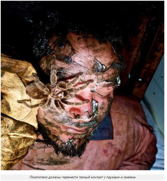 McKamey Manor - самый страшный аттракцион в мире. Считаете себя храбрецом, и не боитесь ничего на свете Тогда отправляйтесь на самый страшный аттракцион в мире - дом с приведениями McKamey