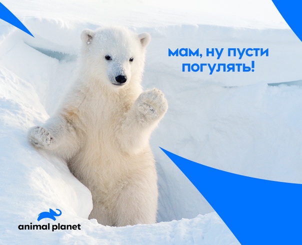 #ФотоДня