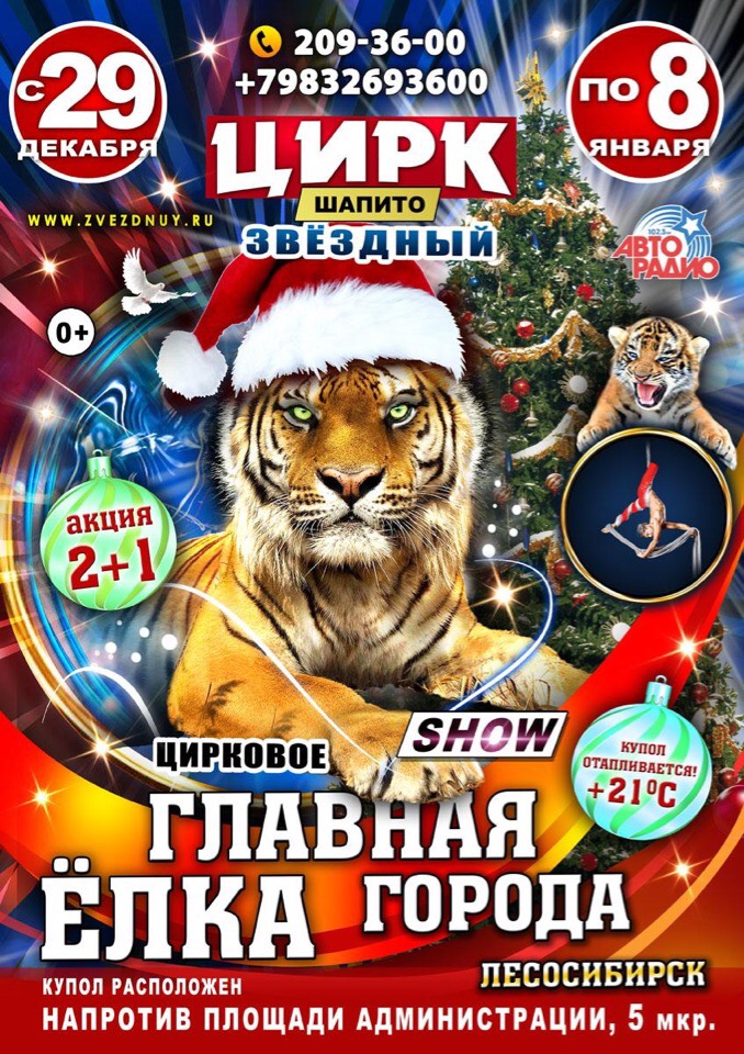 Новогодняя Программа В Цирке Новогодняя Программа В Цирке