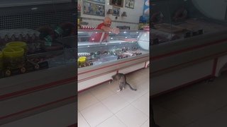 Yeşim kasap ın daimi müşterisi
