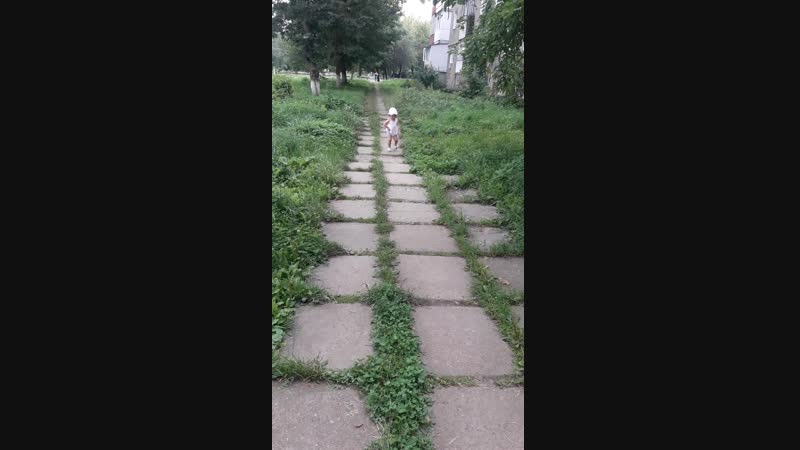 29 липня