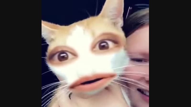 Кошара