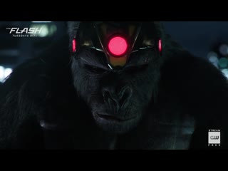 The Flash - Inside- King Shark vs. Gorilla Grodd - The CW
