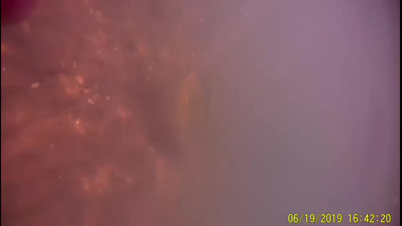 Подводная съёмка
