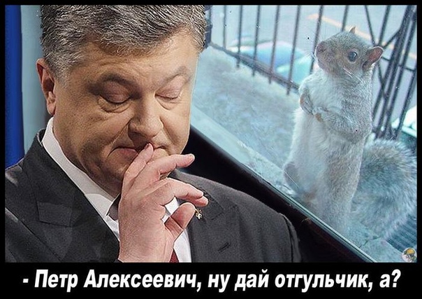 https://pp.userapi.com/c850536/v850536325/6a446/dOkvBVlWdrY.jpg