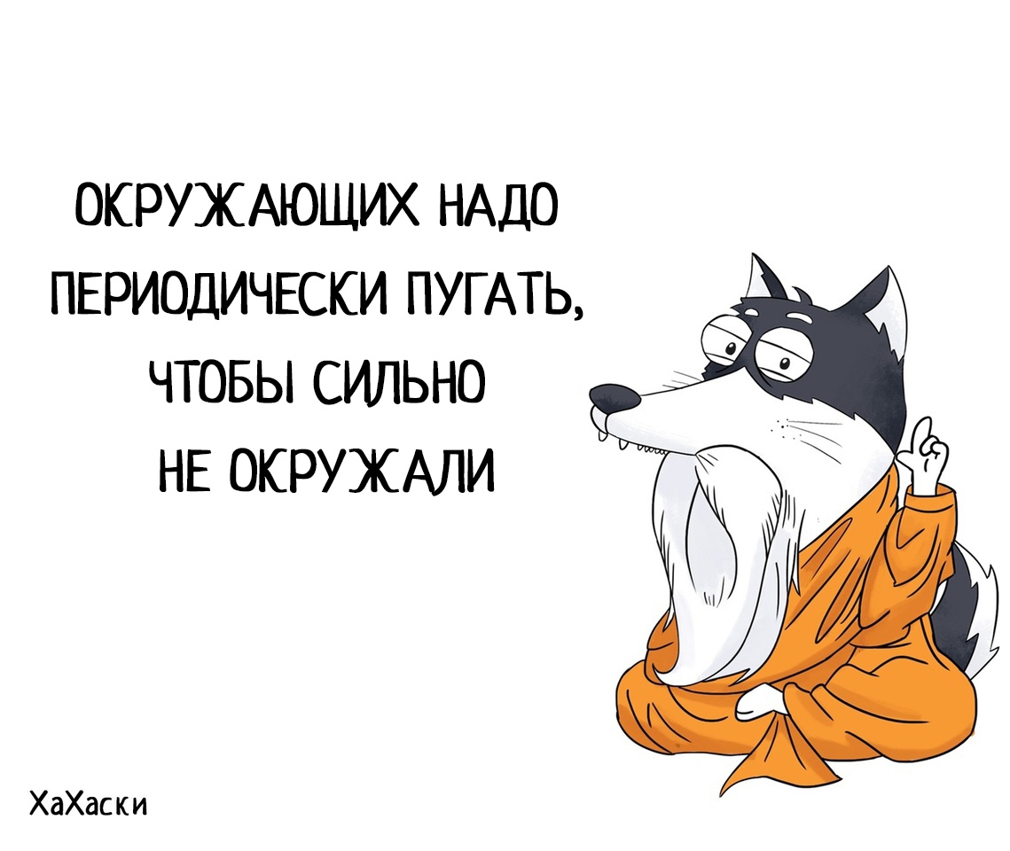 https://pp.userapi.com/c850536/v850536449/533ba/PTvB26PGzMU.jpg