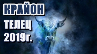 🔹ТЕЛЕЦ-2019