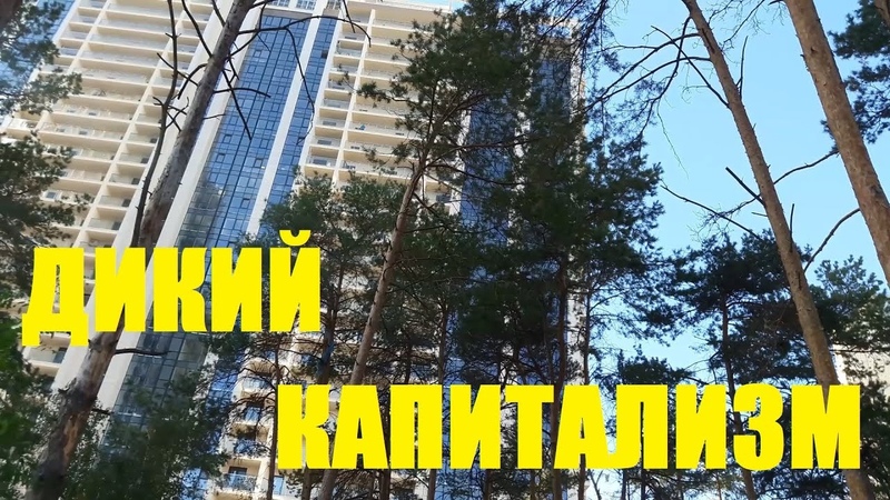 Дикий КАПИТАЛИЗМ