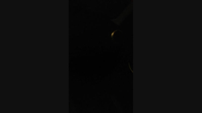 Кирилл Кирилов - Live