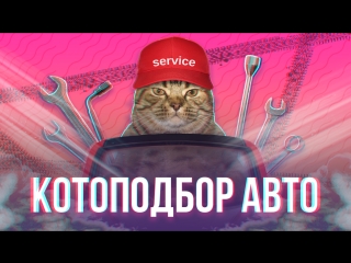 Котоподбор авто | Mews News