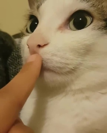 I catch you eyes...