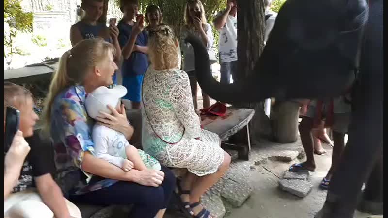 Пхукет Слоник