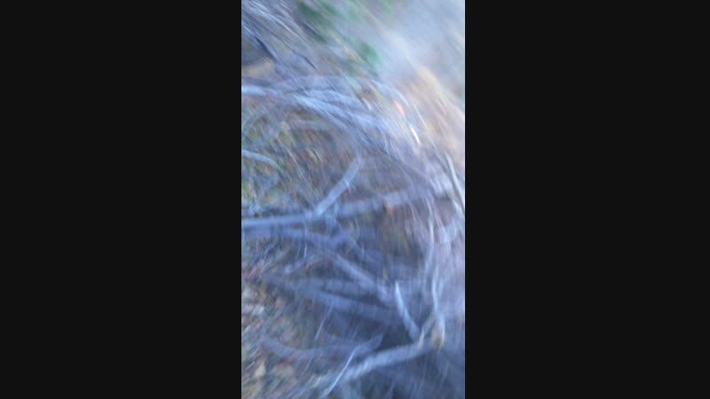 MOV_0017.mp4