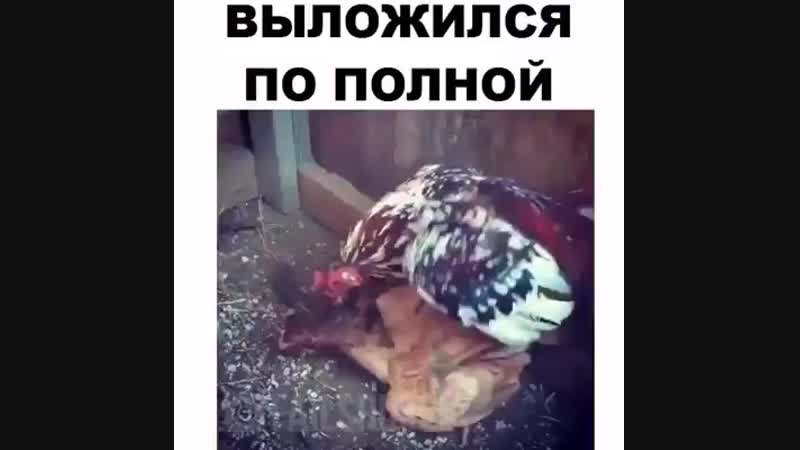 в3