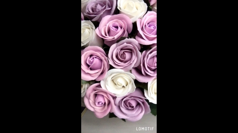 21 неувядающая роза