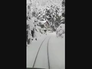 Поезд едет через зимнюю страну