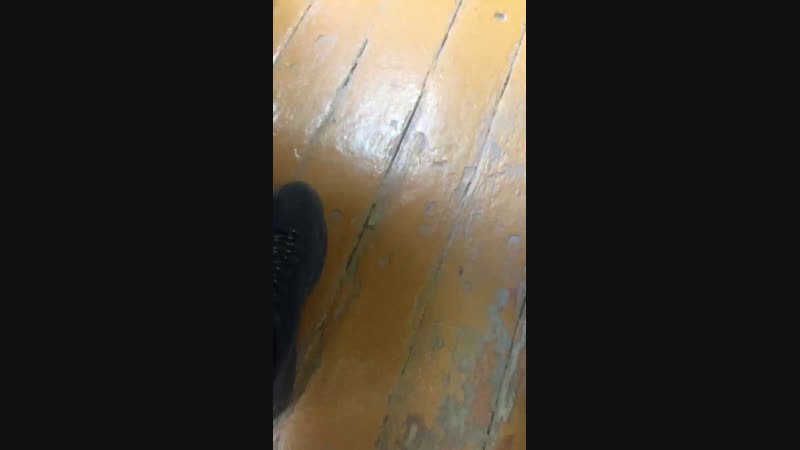 Сайил Маджидов — Live
