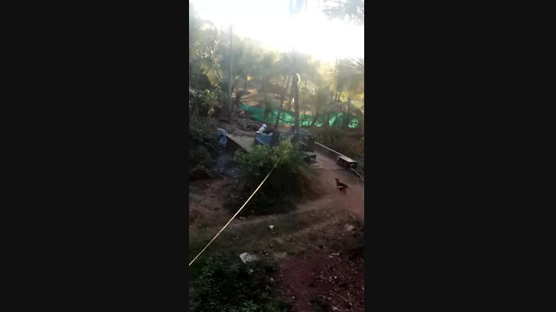 VID_20190217_180129.mp4