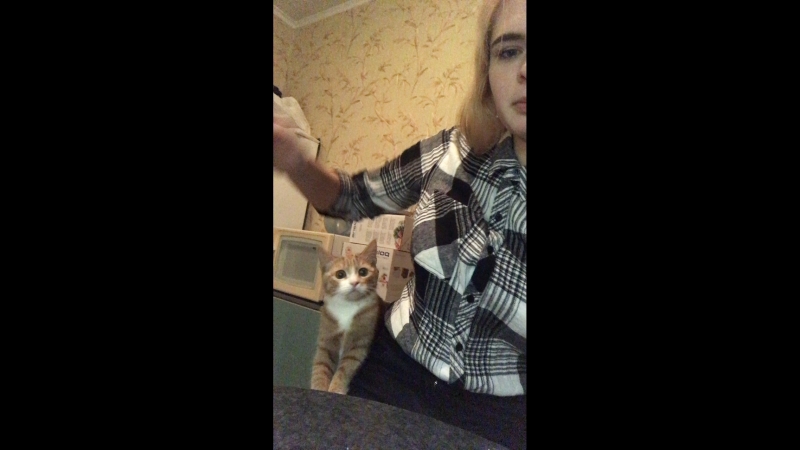 Кристина Анисимова — Live