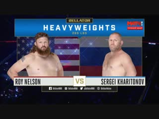 Сергей Харитонов vs Рой Нельсон
