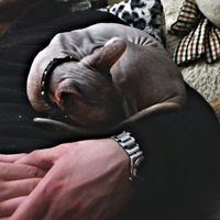 Игорь Юрьевич