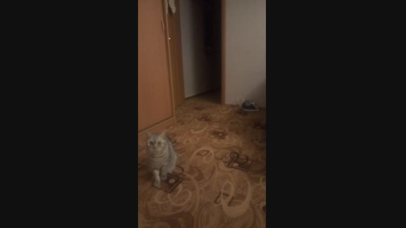 V90119-232745.mp4