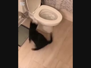 Я плачу за воду, а он играет...