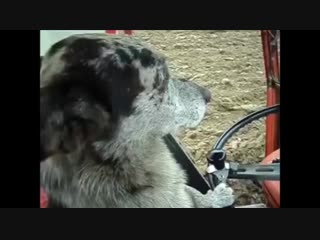 Да я тут еду отрабатываю