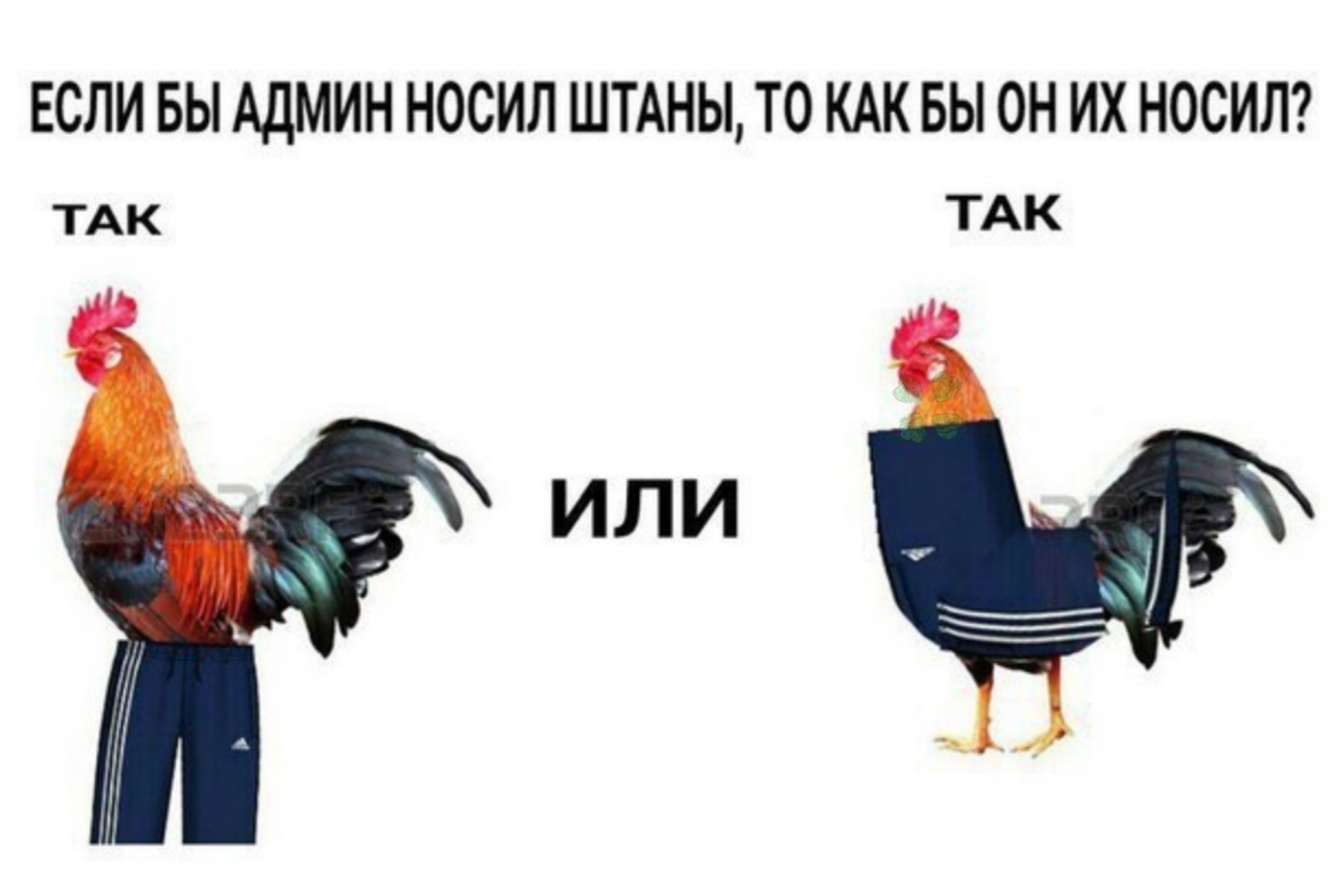 DjFfi-AgWIs.jpg