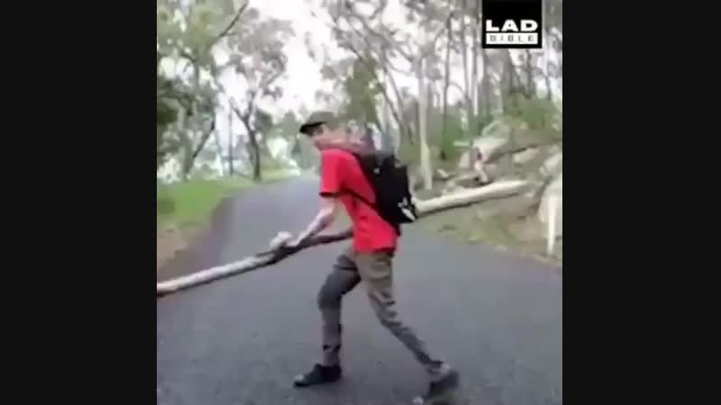 бревно отомстило😂😂