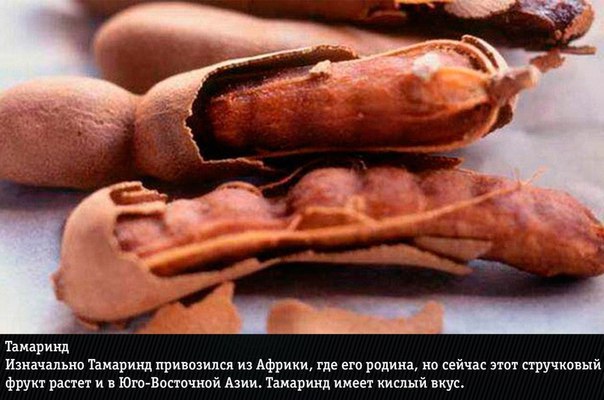 10 самых экзотических фруктов: фото и названия Нас уже не удивишь маракуйей, дурианом и личи. Сегодня мы узнаем о действительно редких экзотических фруктах, которые вы вряд ли пробовали хоть раз