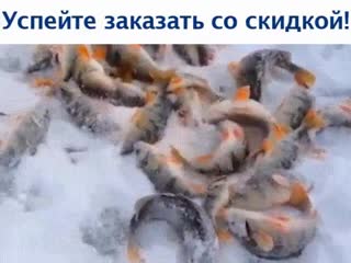 Без названия
