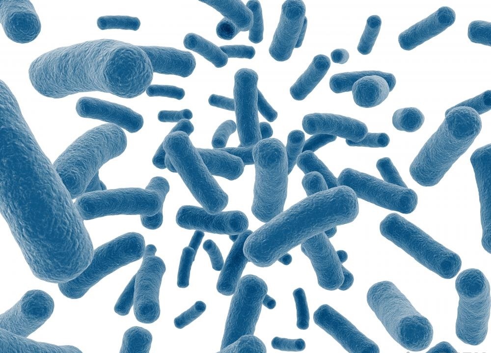 Стафилококковая инфекция вызвана бактериями Staphylococcus.