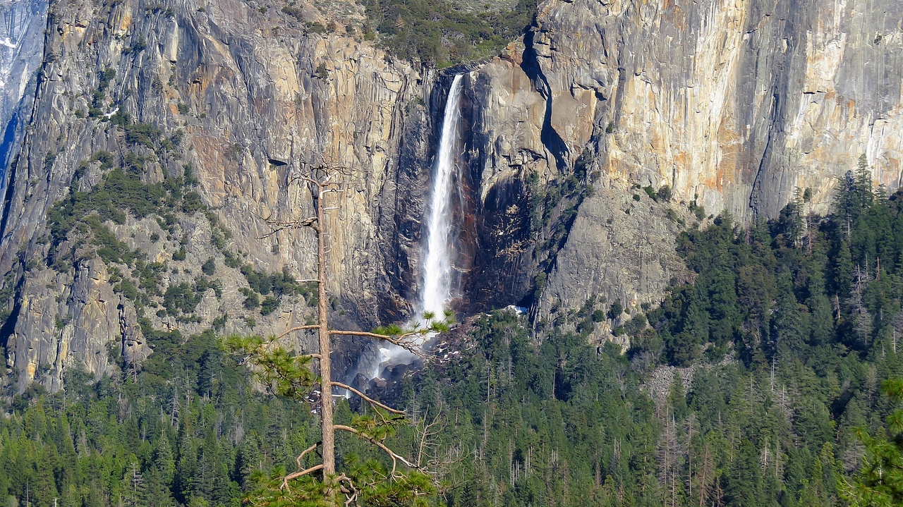 Ударим автопробегом по дикому западу! USA 2019 7-25 марта.
